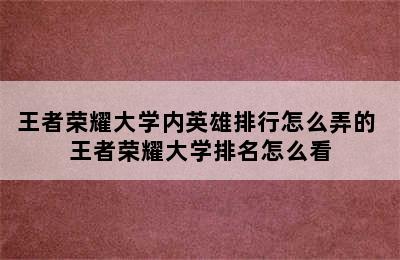 王者荣耀大学内英雄排行怎么弄的 王者荣耀大学排名怎么看